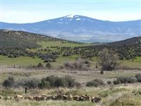 Siskiyou Scenic Bicycle Tour